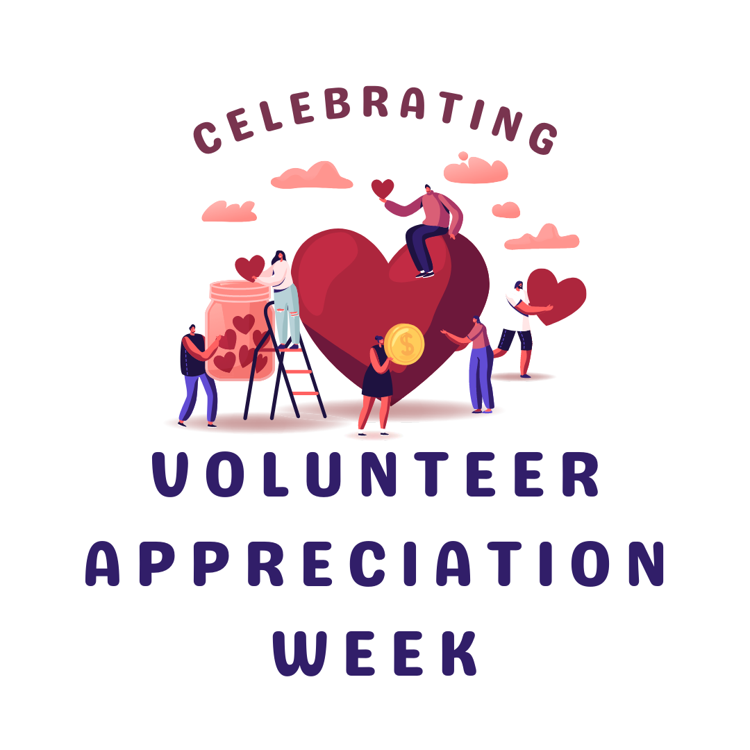 Volunteer Appreciation Week A Look Into Digital Literacy and